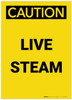 Caution: Live Steam Portrait - Label