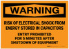 Warning: Risk of Electrical Shock from Stored Energy Entry Prohibited - Label