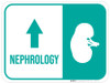 Nephrology Arrow Straight Rectangular - Floor Sign Nephrology Arrow Straight Rectangular - Floor Sign