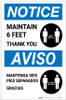 Notice: Maintain 6 Feet - Thank You Bilingual Spanish with Icon Portrait - Label