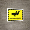 Beware Of Ducks Yellow Hazard Landscape - Wall Sign Beware Of Ducks Yellow Hazard Landscape - Wall Sign
