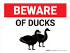 Beware of Ducks Landscape - Wall Sign Beware of Ducks Landscape - Wall Sign