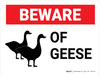 Beware of Geese Landscape - Wall Sign Beware of Geese Landscape - Wall Sign
