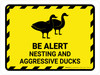 Be Alert - Nesting And Aggressive Ducks Landscape - Wall Sign Be Alert - Nesting And Aggressive Ducks Landscape - Wall Sign