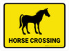 Horse Crossing Landscape - Wall Sign