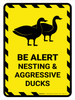 Be Alert - Nesting And Aggressive Ducks Portrait - Wall Sign