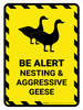 Be Alert - Nesting And Aggressive Geese Portrait - Wall Sign