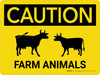 Caution: Farm Animals Cow Icons Landscape - Wall Sign