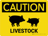 Caution: Livestock with Pig Icons Landscape - Wall Sign