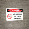 Danger: No Smoking On These Premises Landscape with Graphic - Wall Sign