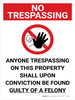 No Trespassing: Anyone Trespassing Guilty Of A Felony Portrait with Graphic - Wall Sign