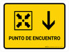 Meeting Point With Down Arrow Yellow Spanish Landscape - Wall Sign