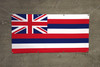 Hawaii State Flag - Banner