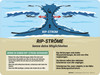 RIP-STROM kenne deine Möglichkeiten (Rip Currents - Know Your Options) German - Wall Sign RIP-STROM kenne deine Möglichkeiten (Rip Currents - Know Your Options) German - Wall Sign