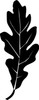 Oak Leaf - Wall Decor Oak Leaf - Wall Decor