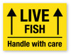 Live Fish - Handle With Care Arrows Up Yellow - Shipping Label