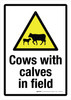 Cows With Calves In Field with Hazard Icon Portrait - Wall Sign Cows With Calves In Field with Hazard Icon Portrait - Wall Sign
