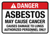 Danger: ANSI Asbestos May Cause Cancer Causes Damage To Lungs Authorized Personnel Only Landscape - Wall Sign
