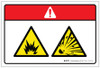 Danger: Explosion Hazard Explosive Material (Wordless ISO/ANSI) - Label