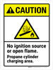 Caution: No Ignition Source Or Open Flame Propane Cylinder Charging Area ANSI Portrait - Wall Sign