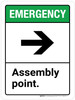 Emergency: Assembly Point with Right Arrow ANSI Portrait - Wall Sign