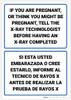 If You Are Pregnant Safety Bilingual Spanish - Wall Sign
