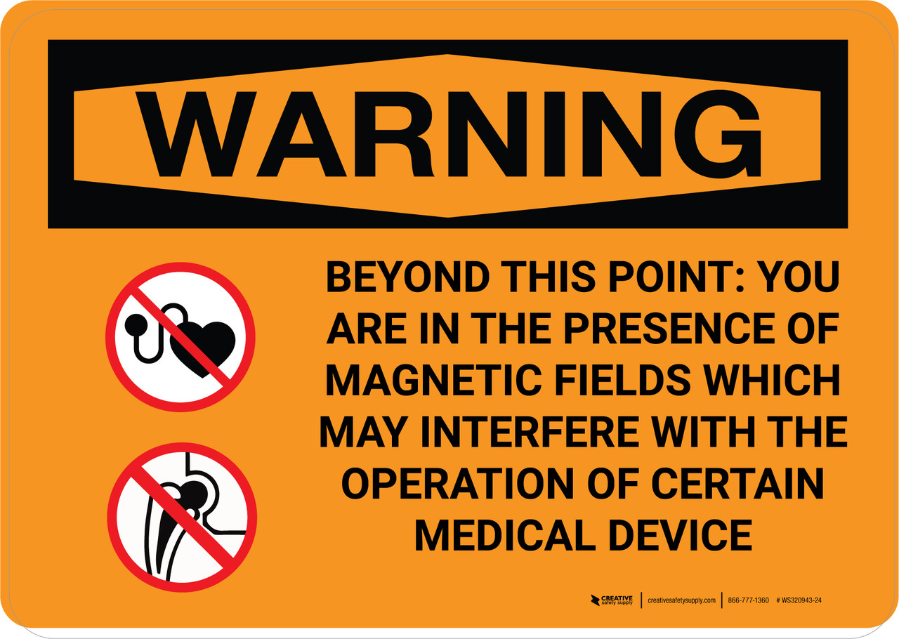 Warning: Beyond This Point Magnetic Fields Landscape - Wall Sign