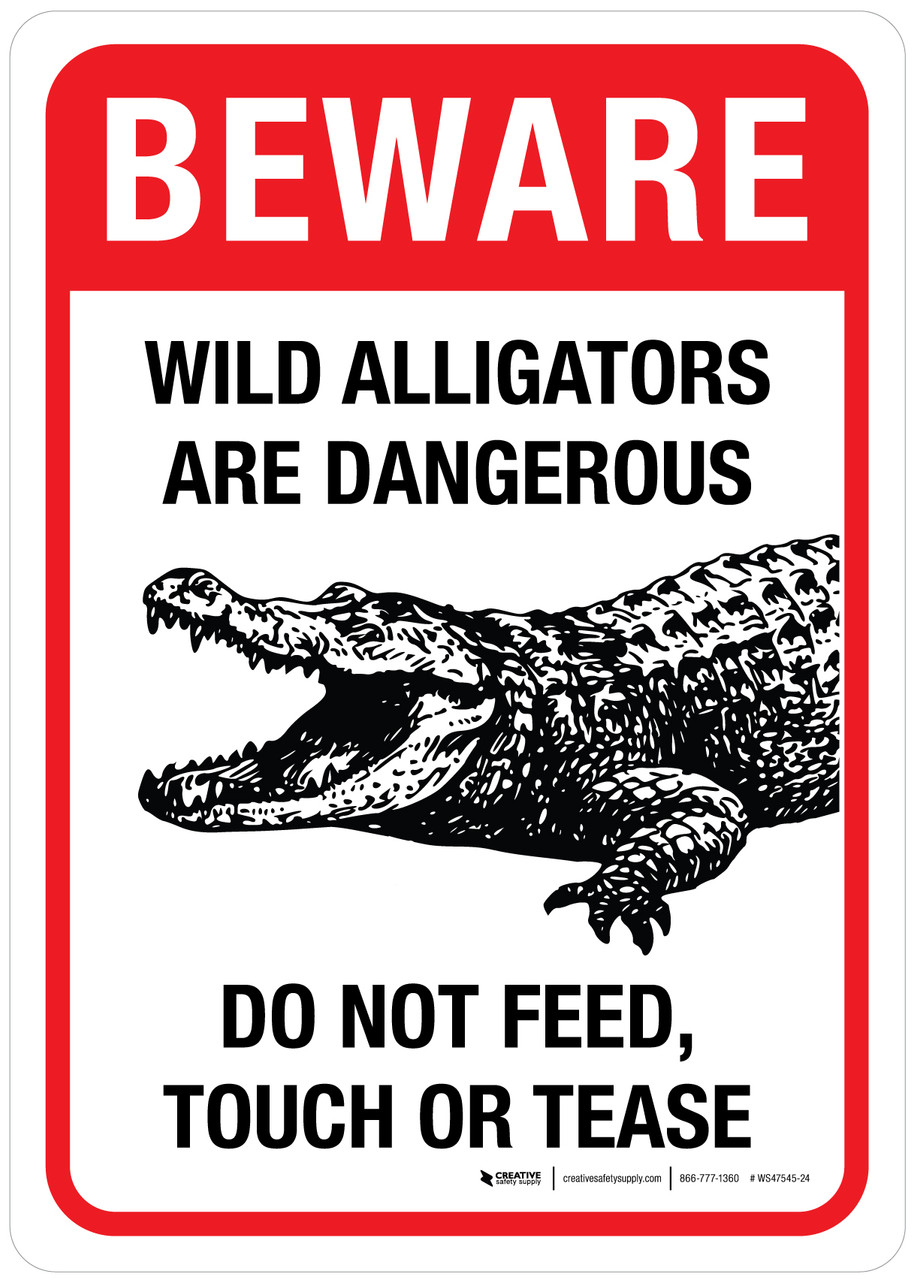 Beware: Wild Alligators Are Dangerous - Wall Sign