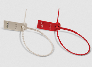 Pull-Tight Security Seal