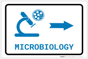 MRI/PET Scan Right Arrow with Icon Landscape v2 - Label