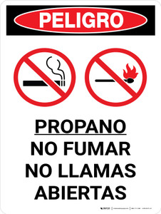 Danger: Propane No Smoking Open Flame Portrait with Icon - Wall Sign