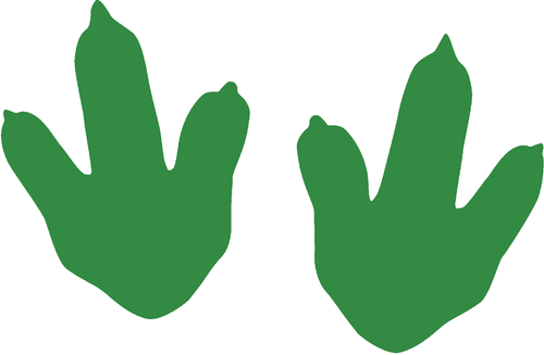 Smart Stripe Dinosaur Footprints
