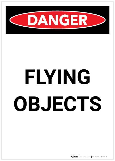 Danger: Flying Objects Portrait - Label
