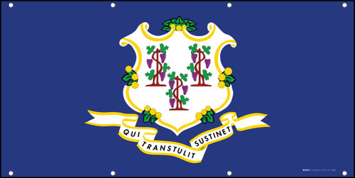 Connecticut State Flag - Banner