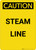 Caution: Steam Line - Portrait Wall Sign