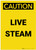 Caution: Live Steam Portrait - Label