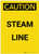 Caution: Steam Line Portrait - Label
