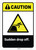 Caution: Sudden Drop Off ANSI - Wall Sign