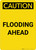 Caution: Flooding Ahead Portrait