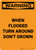 Warning: When Flooded Turn Around Don't Drown Portrait