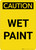 Caution: Wet Paint Portrait