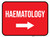 Haematology Arrow Right Rectangular - Floor Sign