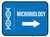 Microbiology Arrow Right Rectangular - Floor Sign