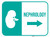 Nephrology Arrow Right Rectangular - Floor Sign