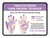 Practice Proper Hand-Washing Technique Landscape - Wall Sign