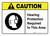 Caution: Hearing Protection Required In Area with Icon ANSI Landscape - Wall Sign
