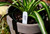 LabelTac Pot Stake Agriculture Label Supply
