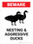 Beware: Nesting And Aggressive Ducks Landscape - Wall Sign