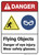 Danger: Flying Objexts Wear Safety Glasses ANSI - Wall Sign