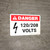 Danger: 120-208 Volts Landscape with Icon - Wall Sign